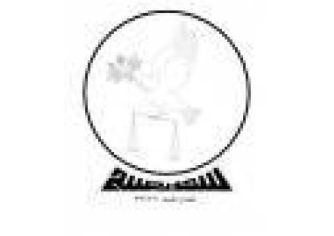 وکیل دادگستری