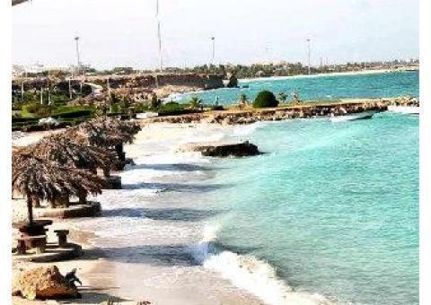 تور ویژه کیش