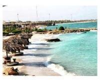 آگهی رایگان