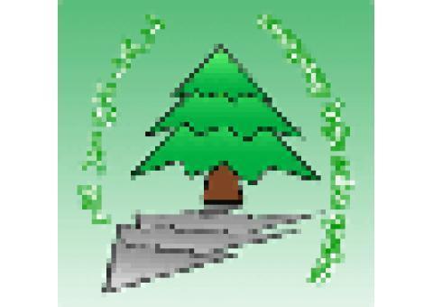 بازاریاب آرایشی و بهداشتی