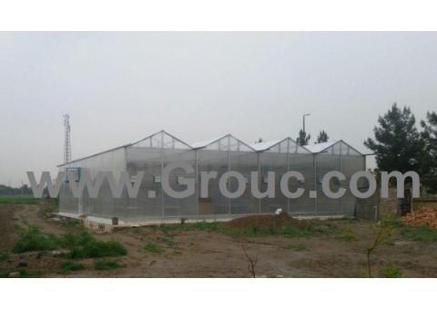 شرکت طراحی مهندسی گروک ( گلخانه ی تحقیقاتی )