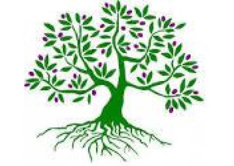 تجزیه و تحلیل، آنالیز داده های پایان نامه های کشاورزی.