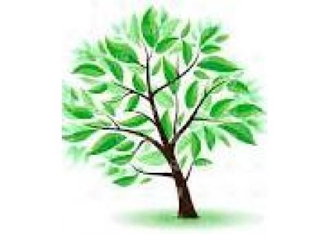 ترجمه متون انگلیسی