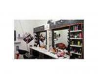 آگهی رایگان