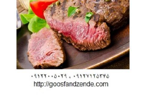 پرواربندی گاو و گوساله