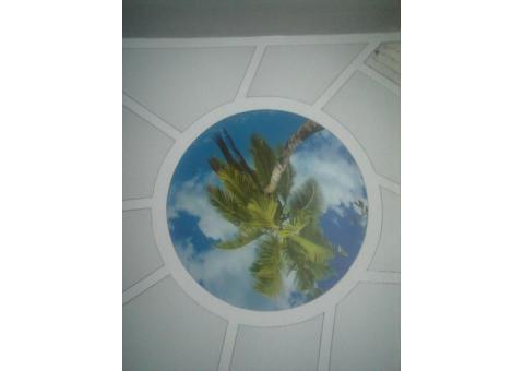 سقف کشسان سفیر