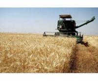 آگهی رایگان