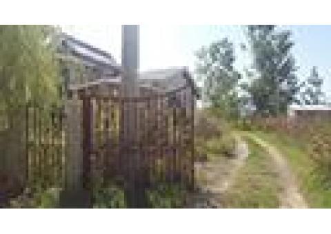 زمین در چمستان