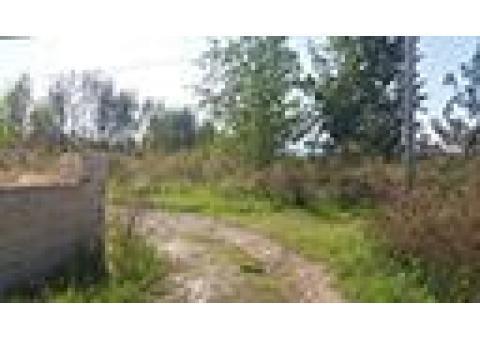 زمین در چمستان