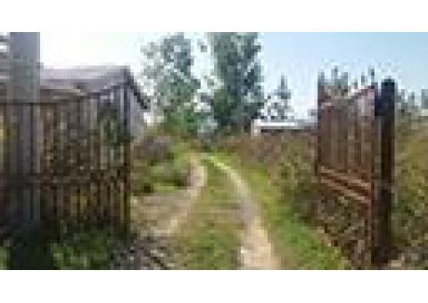 زمین در چمستان