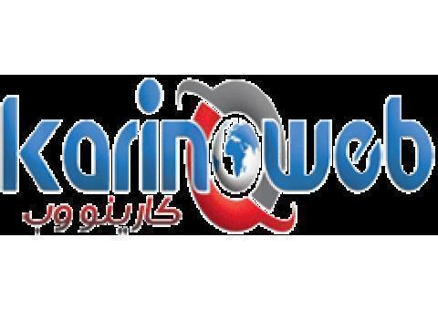 طراحی سایت کارینو وب