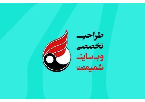 طراحی تخصصی وب سایت