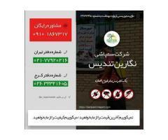 آگهی رایگان