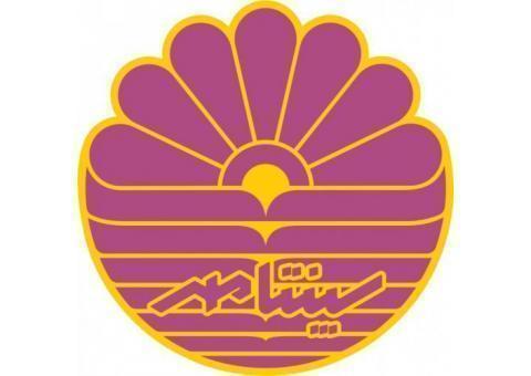 اموزش تخصصی دوره های برنامه نویسی