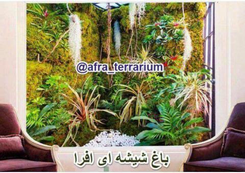 باغ شیشه ای، تراریوم