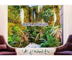 آگهی رایگان