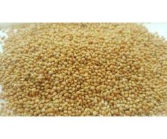 آگهی رایگان