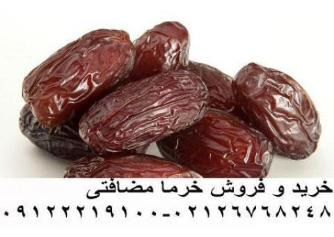 فروش  خرما