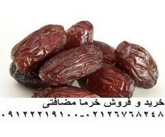 آگهی رایگان