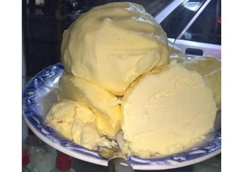 فروشگاه لبنیات سبلان