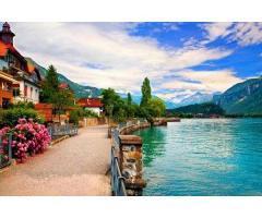 آگهی رایگان