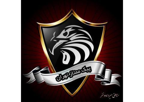 پیک ممتاز نمایندگی925 میرداماد