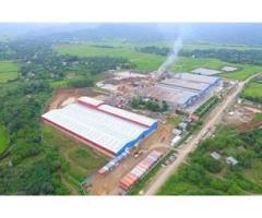 آگهی رایگان