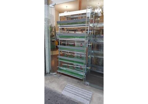 فروشگاه لنگرجوجه