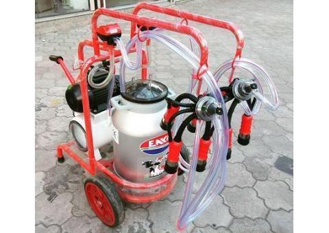 فروشگاه لنگرجوجه