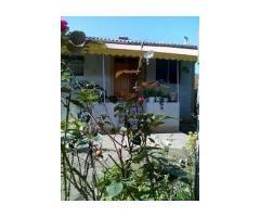 آگهی رایگان