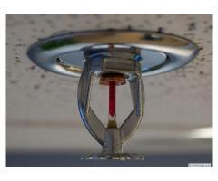 آگهی رایگان