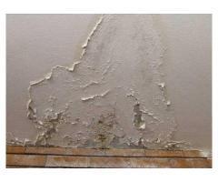 آگهی رایگان