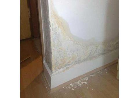 لوله بازکنی و رفع نم اعتماد (50% تخفیف)