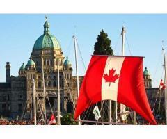 آگهی رایگان