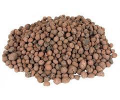 آگهی رایگان